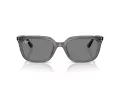 Ray-Ban Aurinkolasit RB 4439D 667587