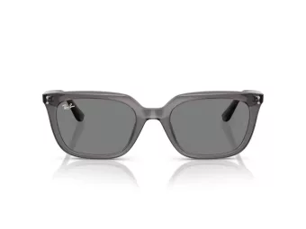 Ray-Ban Aurinkolasit RB 4439D 667587