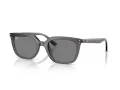 Ray-Ban Aurinkolasit RB 4439D 667587