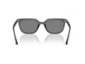 Ray-Ban Aurinkolasit RB 4439D 667587