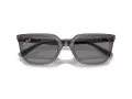 Ray-Ban Aurinkolasit RB 4439D 667587
