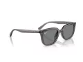 Ray-Ban Aurinkolasit RB 4439D 667587
