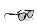 Ray-Ban Aurinkolasit RB 4439D 901/72