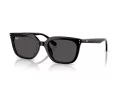 Ray-Ban Aurinkolasit RB 4439D 901/87