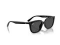 Ray-Ban Aurinkolasit RB 4439D 901/87