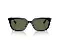 Ray-Ban Aurinkolasit RB 4439D 901/9A