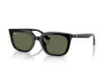 Ray-Ban Aurinkolasit RB 4439D 901/9A