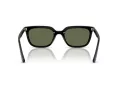 Ray-Ban Aurinkolasit RB 4439D 901/9A