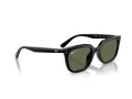 Ray-Ban Aurinkolasit RB 4439D 901/9A