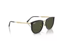 Ray-Ban Aurinkolasit RB 4451 630631