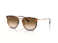 Ray-Ban Aurinkolasit RB 4451 680451