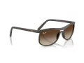 Ray-Ban Aurinkolasit RB 4452 612413