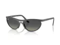 Ray-Ban Aurinkolasit RB 4453 601711