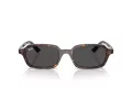 Ray-Ban Zuri Aurinkolasit RB 4455 135987