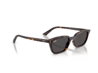 Ray-Ban Zaya Aurinkolasit RB 4456 135987