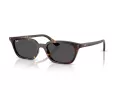 Ray-Ban Zaya Aurinkolasit RB 4456 135987