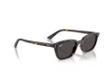 Ray-Ban Zaya Aurinkolasit RB 4456 135987