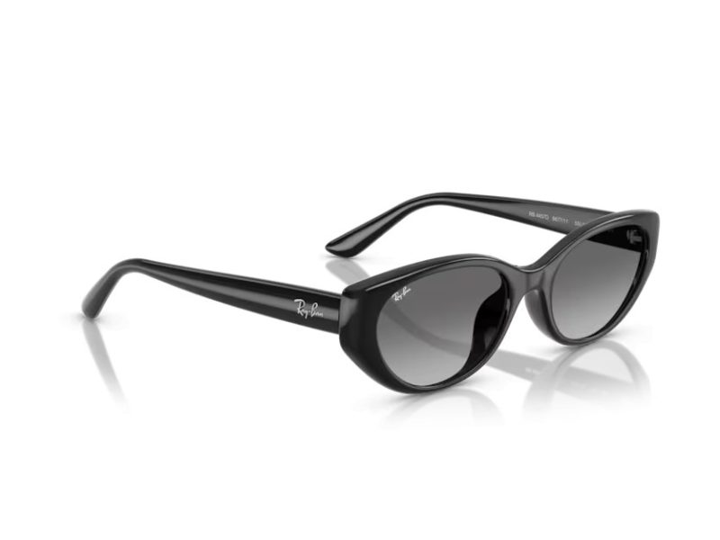 Ray-Ban Aurinkolasit RB 4457D 667711