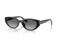Ray-Ban Aurinkolasit RB 4457D 667711