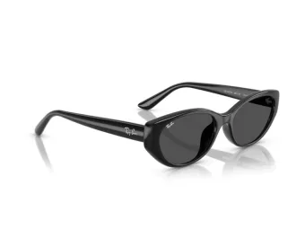 Ray-Ban Aurinkolasit RB 4457D 667787
