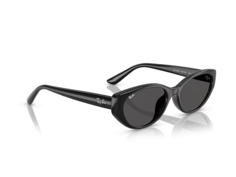 Ray-Ban Aurinkolasit RB 4457D 667787