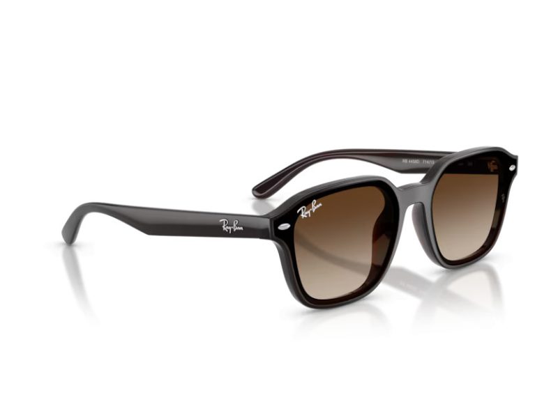 Ray-Ban Aurinkolasit RB 4458D 714/13