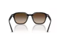 Ray-Ban Aurinkolasit RB 4458D 714/13