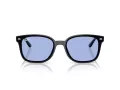 Ray-Ban Aurinkolasit RB 4461D 601/80