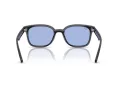 Ray-Ban Aurinkolasit RB 4461D 601/80