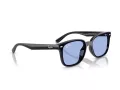 Ray-Ban Aurinkolasit RB 4461D 601/80
