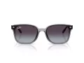 Ray-Ban Aurinkolasit RB 4461D 64508G
