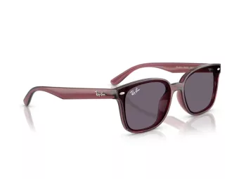 Ray-Ban Aurinkolasit RB 4461D 659373