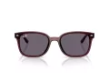 Ray-Ban Aurinkolasit RB 4461D 659373