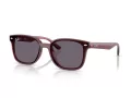 Ray-Ban Aurinkolasit RB 4461D 659373