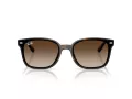 Ray-Ban Aurinkolasit RB 4461D 710/13
