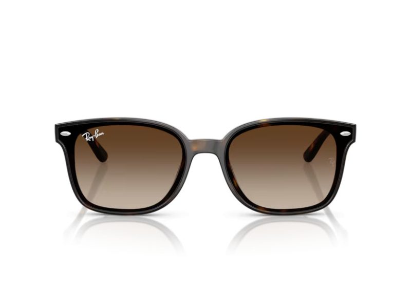 Ray-Ban Aurinkolasit RB 4461D 710/13
