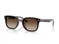 Ray-Ban Aurinkolasit RB 4461D 710/13