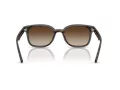 Ray-Ban Aurinkolasit RB 4461D 710/13