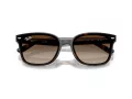 Ray-Ban Aurinkolasit RB 4461D 710/13