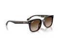 Ray-Ban Aurinkolasit RB 4461D 710/13