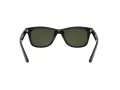 Ray-Ban Aurinkolasit RB 4640 601/31
