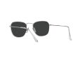 Ray-Ban Frank Aurinkolasit RB 8157 9209/48