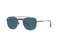Ray-Ban Frank Ii Titanium Aurinkolasit RB 8258 3142/S2