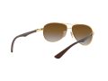 Ray-Ban Carbon Fibre Aurinkolasit RB 8313 001/51