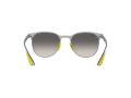 Ray-Ban Aurinkolasit RB 8327M F080/11