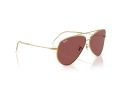 Ray-Ban Aviator Reverse Aurinkolasit RB R0101S 001/69