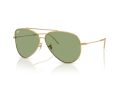 Ray-Ban Aviator Reverse Aurinkolasit RB R0101S 001/82