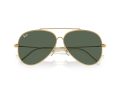 Ray-Ban Aviator Reverse Aurinkolasit RB 0RBR0101S 001/VR