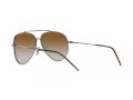 Ray-Ban Aviator Reverse Aurinkolasit RB R0101S 004/CB