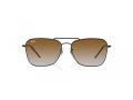 Ray-Ban Caravan Reverse Aurinkolasit RB R0102S 002/CB
